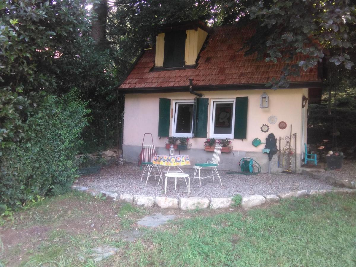 Cottage Sotto Il Faggio Centenario Ameno Exterior foto