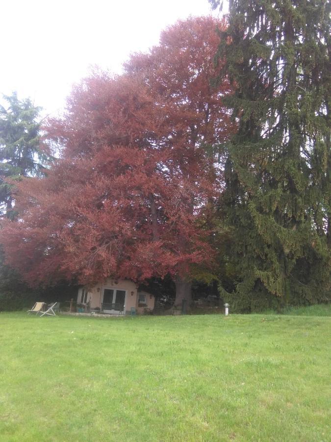 Cottage Sotto Il Faggio Centenario Ameno Exterior foto