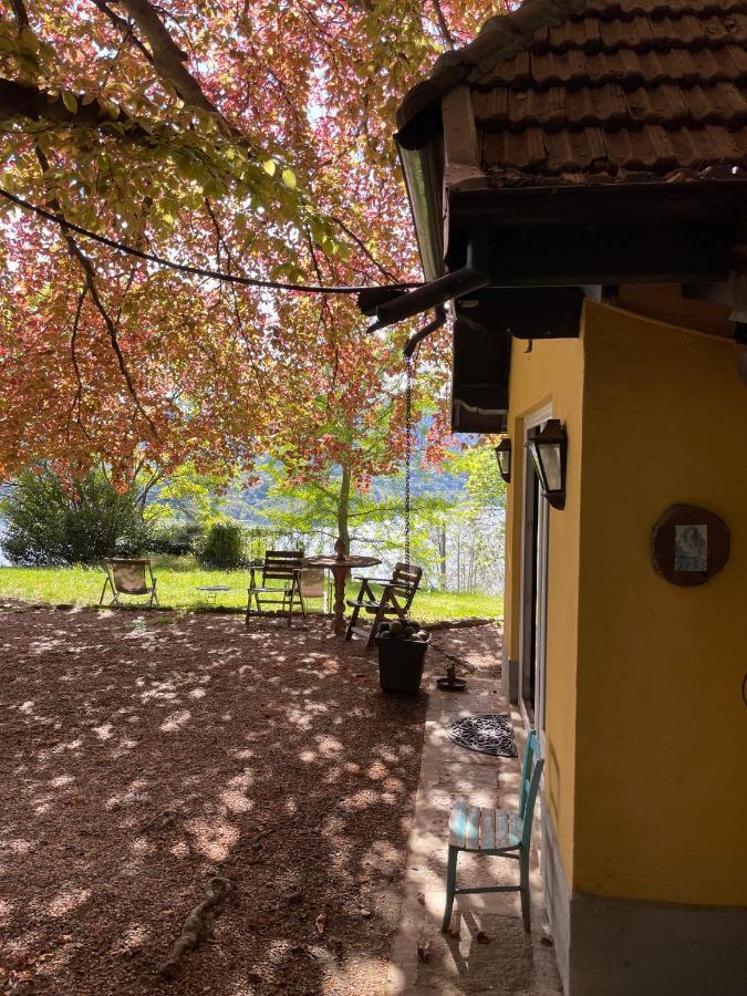 Cottage Sotto Il Faggio Centenario Ameno Exterior foto